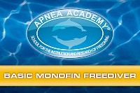 Basic monofin freediver