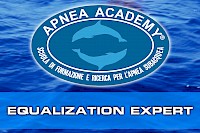 Equalization expert