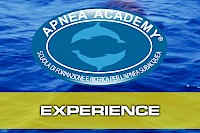 Apnea Experience